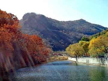 新澳天天开奖资料大全旅游团，重庆天涯